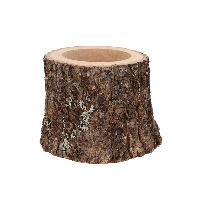 <h4>Nature Oak Pot D16-19cm X 15cm</h4>