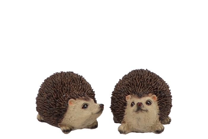 Hedgehog Poly Middle Ass Per 1 10x7x6cm Nm