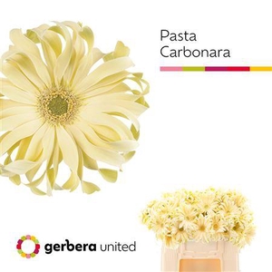 GE KV PASTA CARBONARA