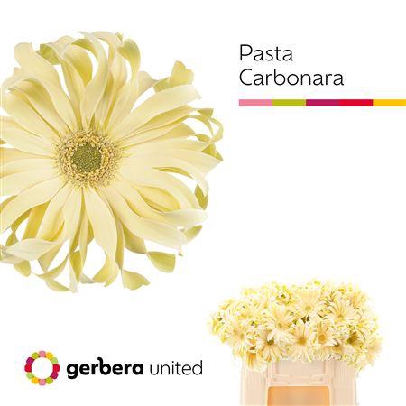 <h4>GE KV PASTA CARBONARA</h4>