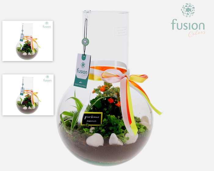 <h4>Green Bottle Suzanne Large met Grootmoederdag arrangement</h4>