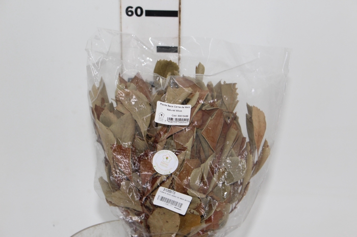 <h4>PLANTA SECA CARNE DE VACA NATURAL 50CM</h4>