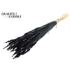 Triticum per bunch Intense Black