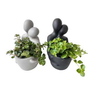 ARR.   KAMERPLANT GROEN L% EMB10GEM