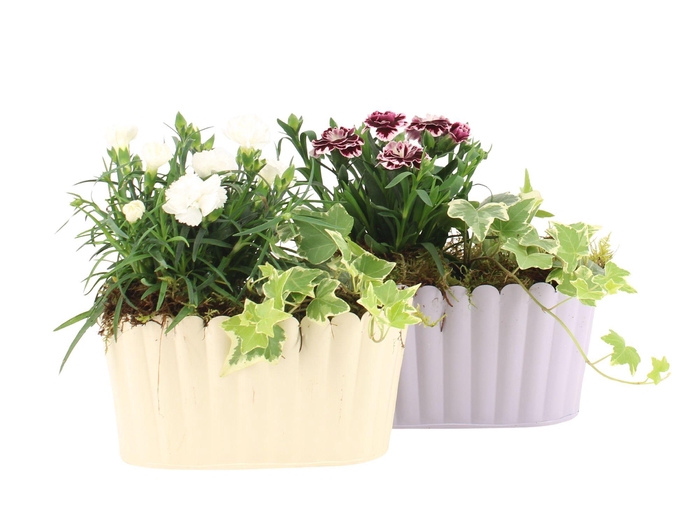 <h4>31557: Outdoor summer arrangement</h4>