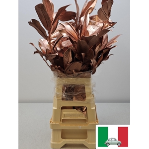 MAGNOLIA METAL KOPER PB