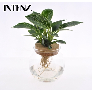 White Wave in Bolglas + klikkurk - levertijd: 24 uur