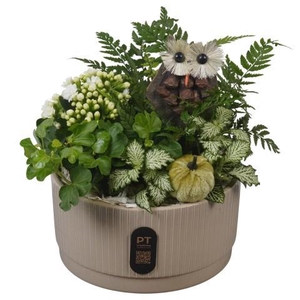PTHI3217 Arrangement Autumn Indoor in keramiek schaal