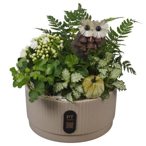 <h4>PTHI3217 Arrangement Autumn Indoor in keramiek schaal</h4>