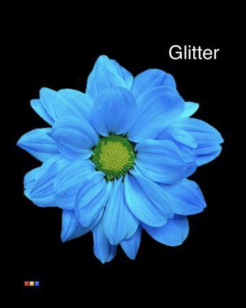 <h4>Chr T Chic Light Blue + Glit Bio</h4>