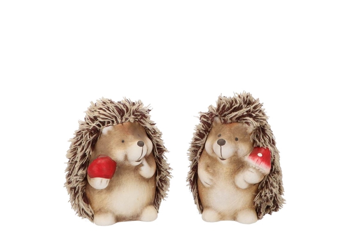 <h4>Hedgehog Wolly Mushroom Ass 9x7x11cm Nm</h4>