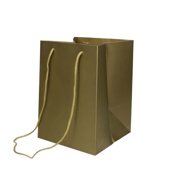 <h4>Bags Olympic 25*18*18cm</h4>