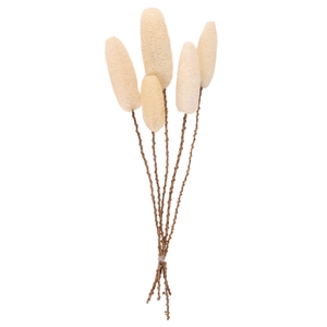 DRY LUFFA BLEACH 5PC