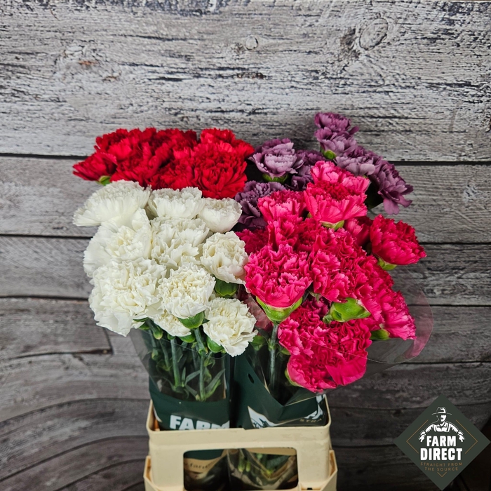 <h4>DI ST GEMENGD IN FUST</h4>