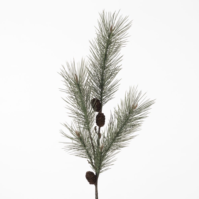 <h4>Af Pine Spra L119cm Grey/green</h4>