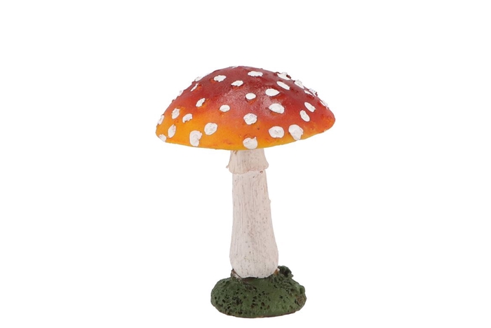 <h4>Mushroom Red7x7x10cm</h4>