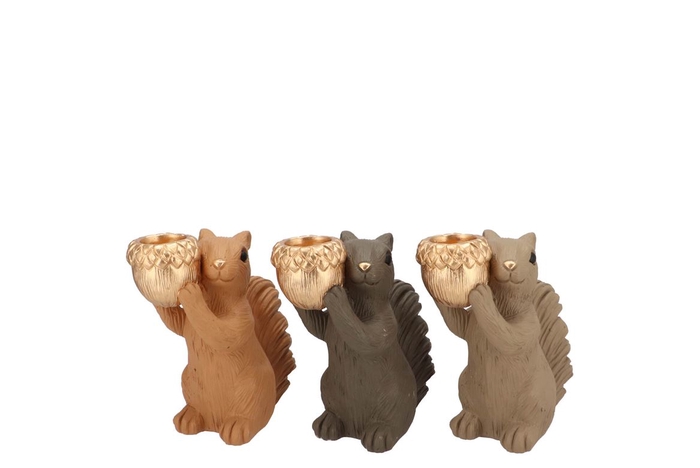 <h4>Jingle Woods Brown Mix Squirrel Standing Ass 15x9x16cm</h4>