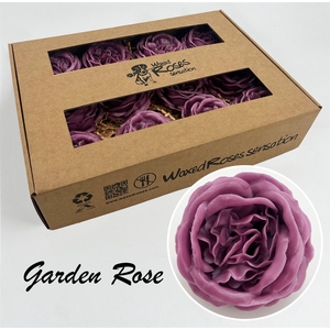 Zijde R Garden Wx Oud Paars