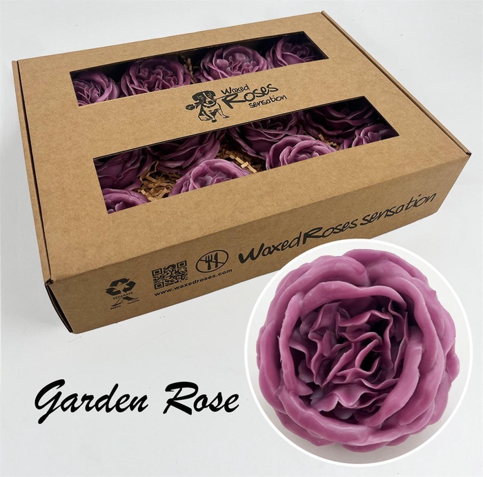 <h4>Zijde R Garden Wx Oud Paars</h4>