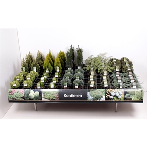 Tafelconcept Exclusief assortiment C3 (mix kan afwijken van foto)