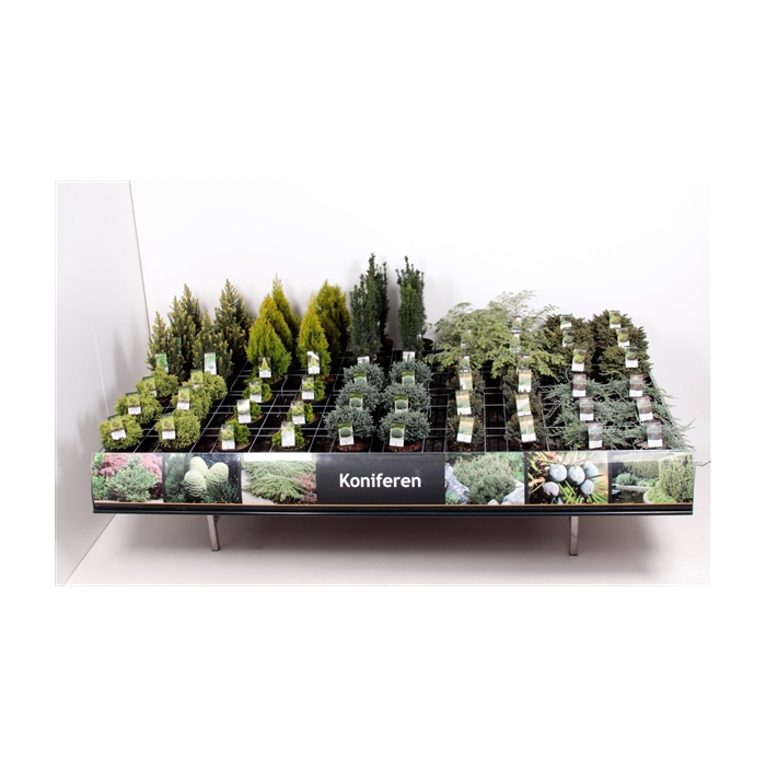 <h4>Tafelconcept Exclusief assortiment C3 (mix kan afwijken van foto)</h4>