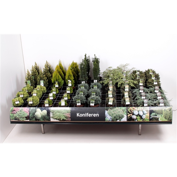 <h4>Tafelconcept Exclusief assortiment C3 (mix kan afwijken van foto)</h4>