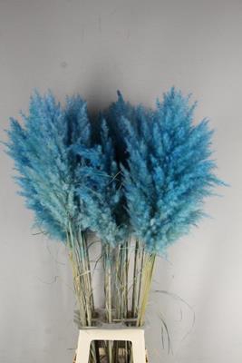 <h4>Df Pampas 115cm Turquoise</h4>