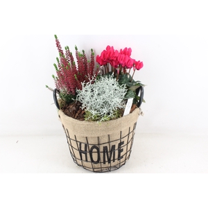 arr4 Outdoor MB - Mand home XL