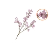 Silk Berry Spice Light Purple 108cm