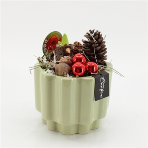 Arrangementen Hippeastrum H%