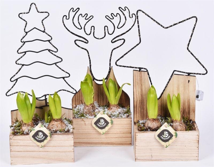 <h4>Hout met Led frame 16x8 assortie</h4>