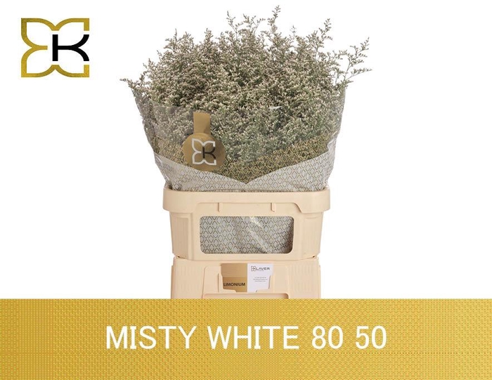 <h4>LIM MISTY WHITE</h4>