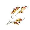 Orchid Oncidium Yellow
