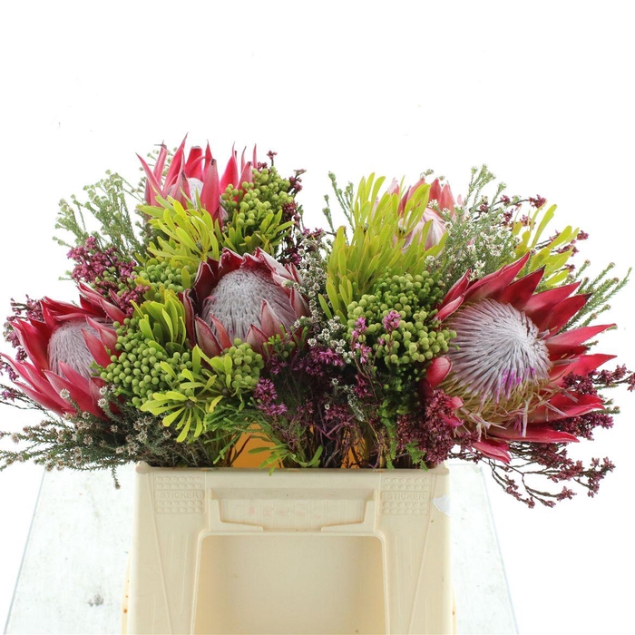 <h4>Kaaps Bouquet Cynaroides 1 Flower</h4>