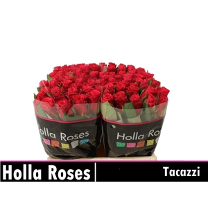 R GR TACAZZI+