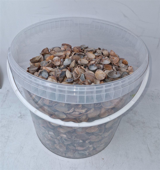 <h4>Huis en tuindecoratie overig H%</h4>