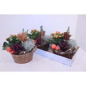 ARR GARDEN ZINC X2