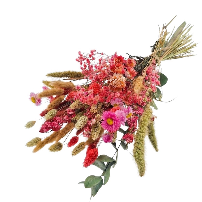 <h4>Dried flowers Bouquet Cute 55cm</h4>