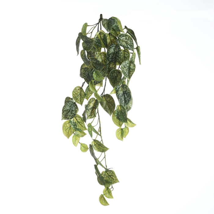 <h4>Af Olive Spray L104cm Green</h4>