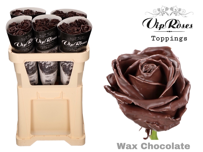 <h4>R Gr Wax Chocolate</h4>