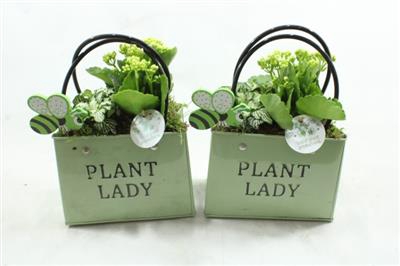 <h4>Zke01 Green Bag</h4>