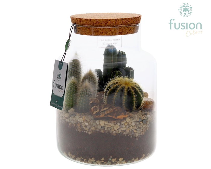 <h4>Green Bottle Pot Medium met Cactus arrangement</h4>