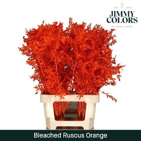 <h4>Ruscus Bleached Italy L70 Orange</h4>
