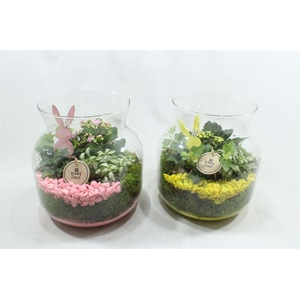 1285 CANDY JARDIN IND