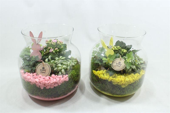 <h4>1285 CANDY JARDIN IND</h4>