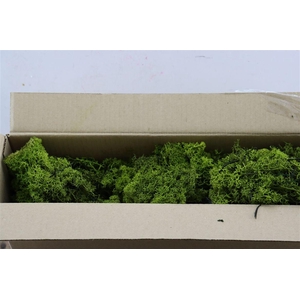 Mos Reindeer Moss Moss Green 450gr