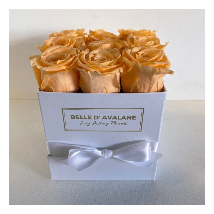 <h4>Box vk 15cm wit-perzik</h4>