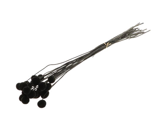 Bunch Craspedia 20pcs L50