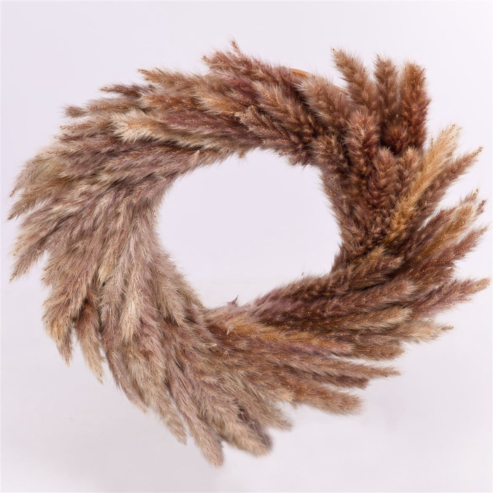 <h4>Wr Fluffy Pampas 35cm Natural</h4>