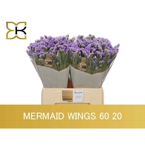 LIM S MERMAID WINGS